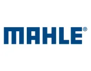 Picture for category MAHLE