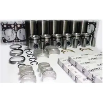 Overhaul Kit (2 VH) E6 Long Life(SSS) FORTPRO