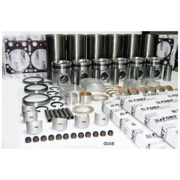 Overhaul Kit (4 VH) E6 Long Life(SSS) FORTPRO