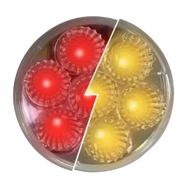 2.5" Round Marker Light Dual Function Amber/Red Clear Lens 12-24 Volts