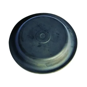 DIAPHRAGM TYPE 20  F236666